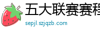 五大联赛赛程时间表2024年